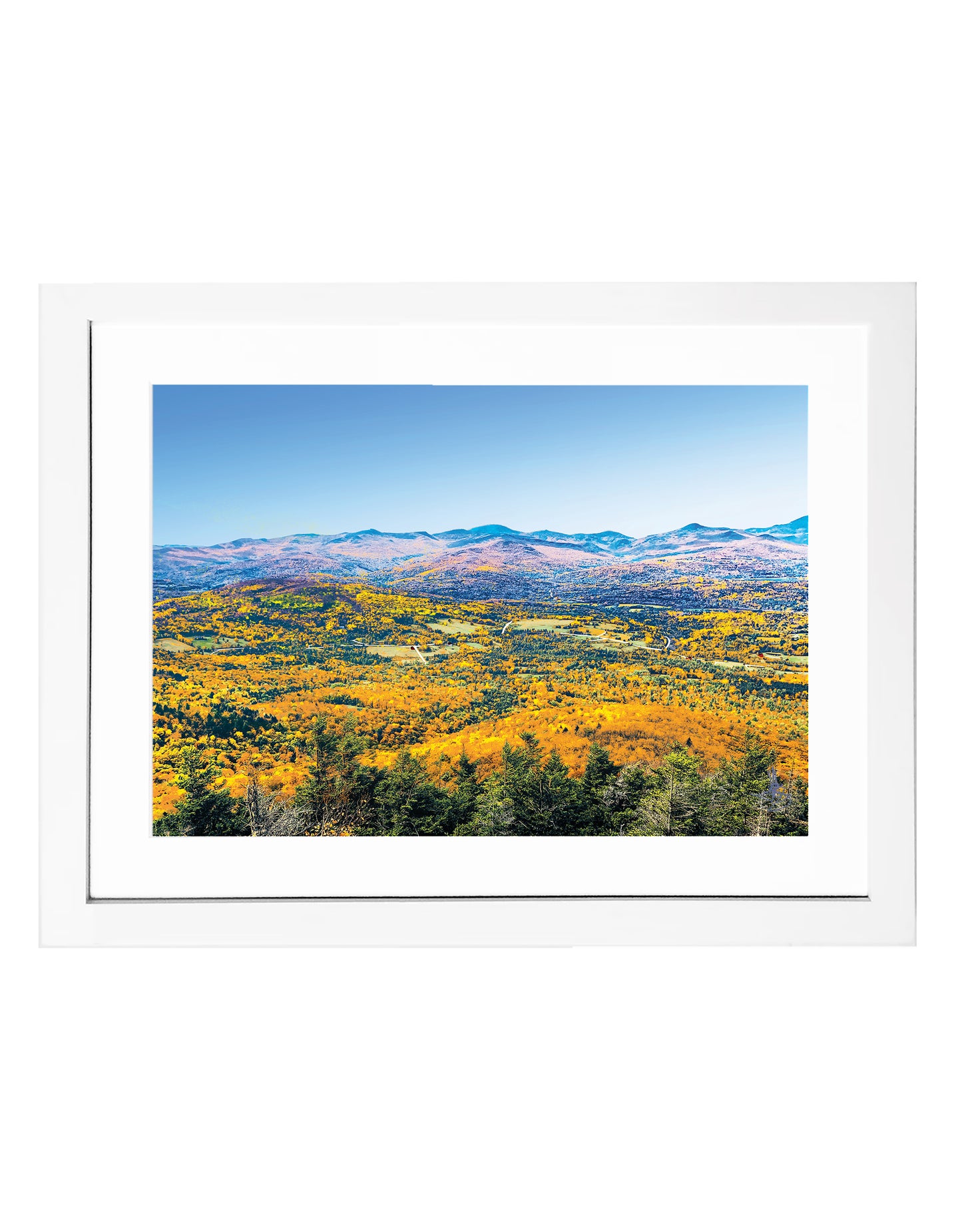 Fall Foliage // Print #30 of 250