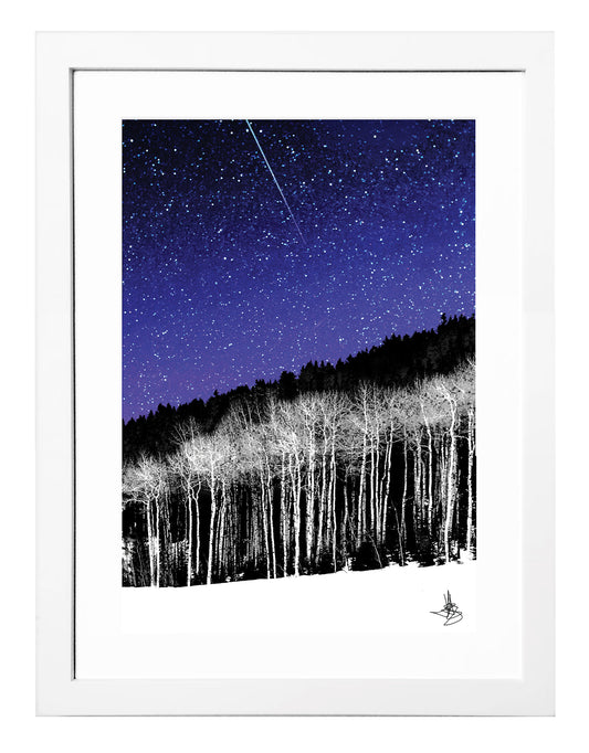 Utah Stars // Print #33 of 250