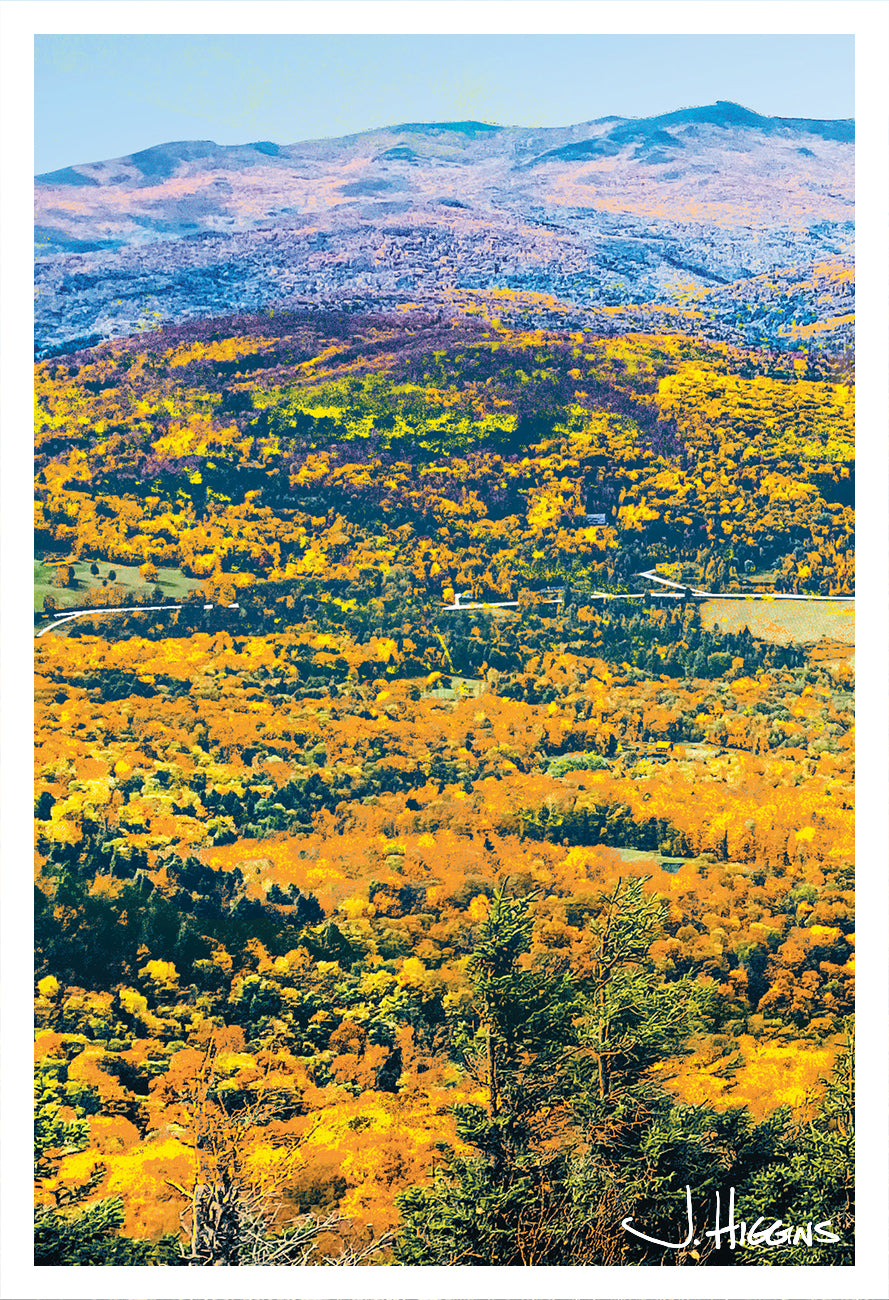 Fall Foliage // Print #30 of 250